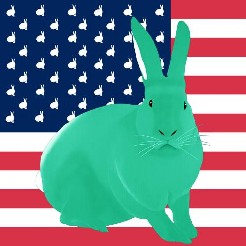 VERT LAIT DE MENTHE FLAG rabbit flag Showroom - Inkjet on plexi, limited editions, numbered and signed. Wildlife painting Art and decoration. Click to select an image, organise your own set, order from the painter on line